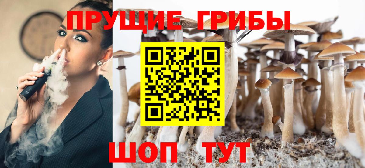 Галлюциногенные грибы MAGIC MUSHROOMS  Вход с VPN  где найти наркотики  Благодарный  Галлюциногенные грибы Psilocybe 