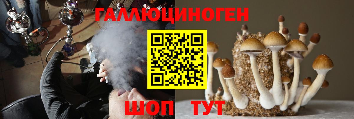 Псилоцибиновые грибы прущие грибы Благодарный